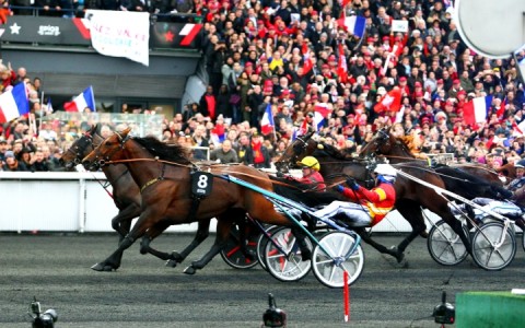 vente saillie trotteur